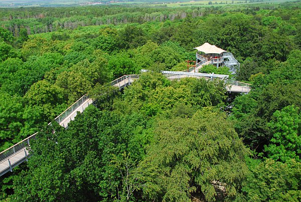 Nationalpark Hainich