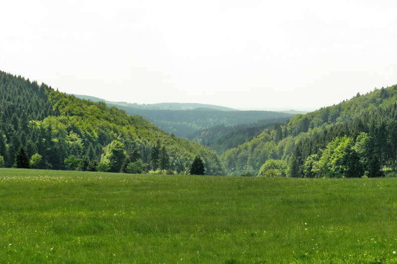 Rennsteig | Quelle: Sebastian Mey - www.kripps.de