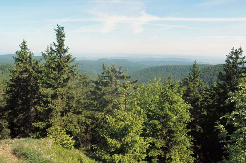 Rennsteig - Blick Richtung Friedrichroda| Quelle: Sebastian Mey - www.kripps.de