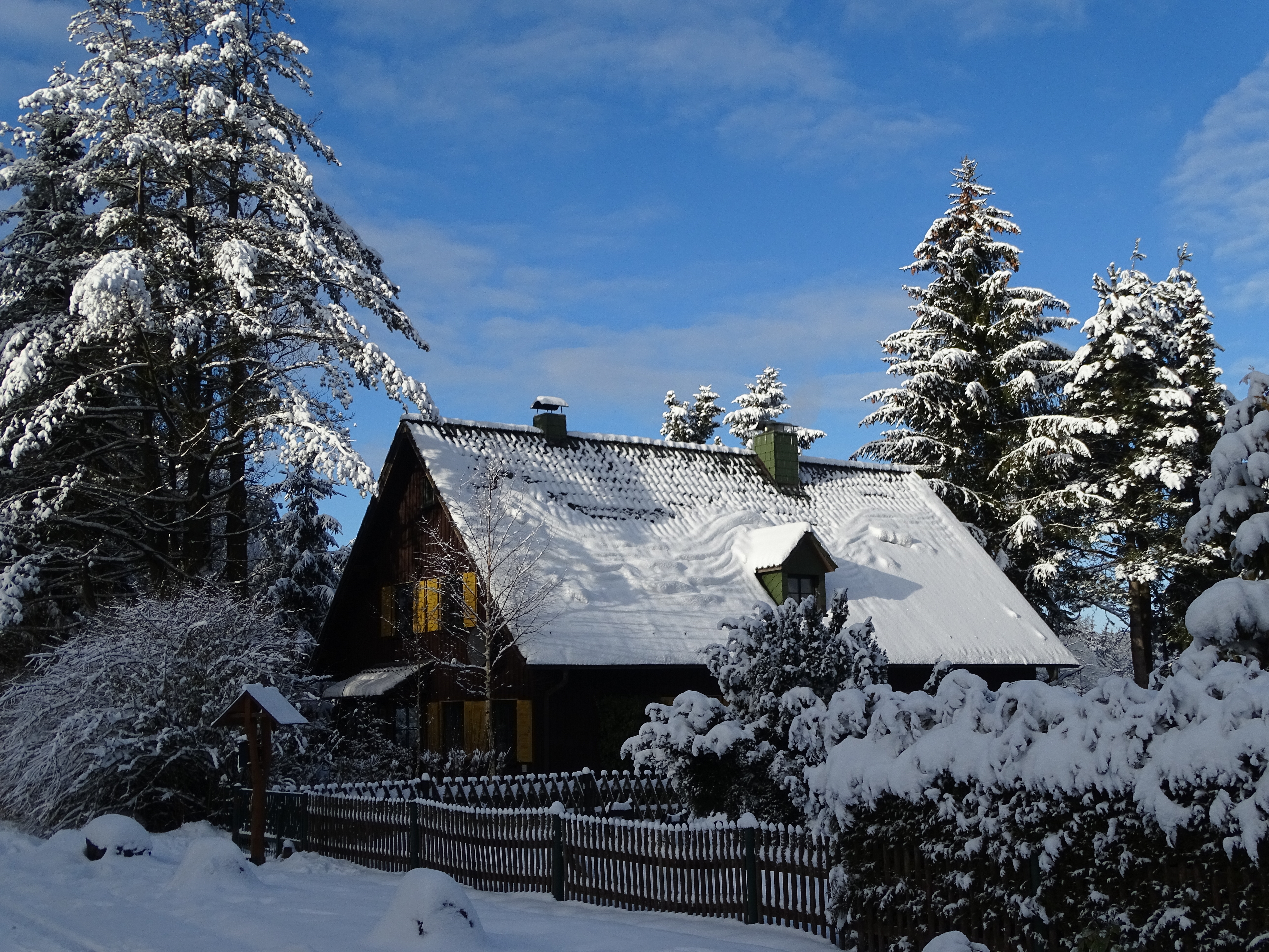 Ferienhaus Waldfrische